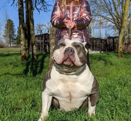 Kenda