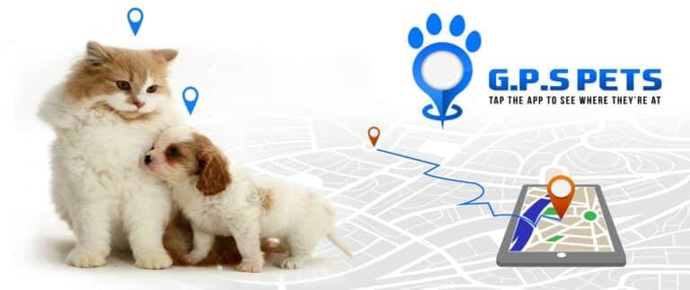 gps-image